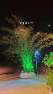 Hotel Vijay Greens - 8