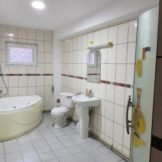 Conacul de la Dunăre, Eșelnița - 8