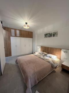 Ris studio dublu universitate, centrul vechi - 0