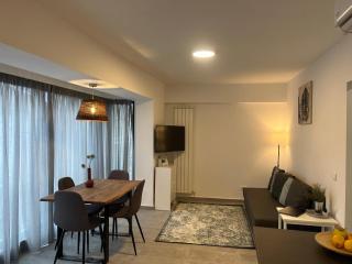 Ris studio dublu universitate, centrul vechi - 4