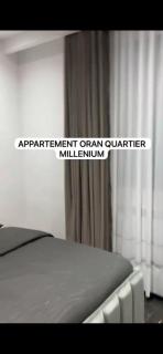 L'écrin tranquille du Millenium - 2