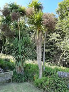 Dairsie Sea View - 4