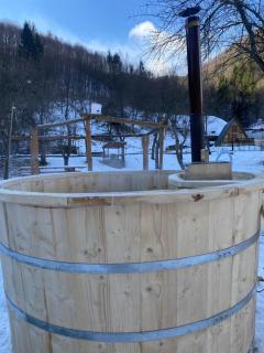 Cabana lui Foardă - 1