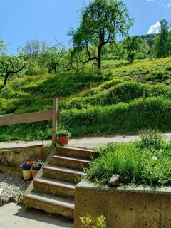 Ferienwohnung am Belchen - 5