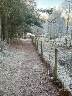 ScottishHighlands - 9