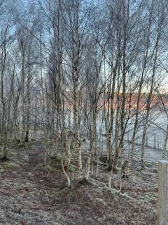 ScottishHighlands - 1