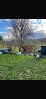 Maison d artiste - 6