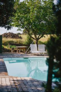 Villa au milieu des vignes - 9