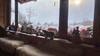 Apartament Hakerówka - 8