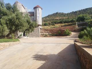 Luxurious mountain villa - 1