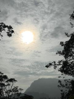 Tranquil Peak Ella - 4