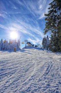 Forest House near Klínovec with 5 Independent Apartments - 5