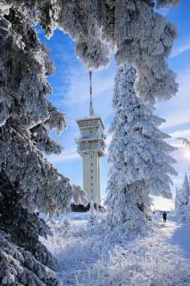 Forest House near Klínovec with 5 Independent Apartments - 8