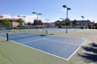 Spacious Condo - 1GB Wi-Fi, Netflix, Amazon Prime - 9