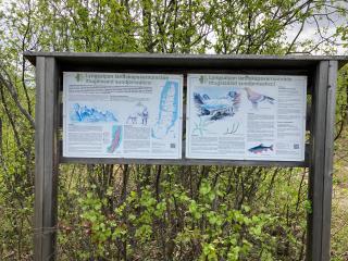 Fjord Northern Lights House - 9