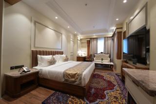 Hotel Maharaja Palace Rohtak - 2