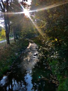 Terrace apartment near centre, parking, river park - 6