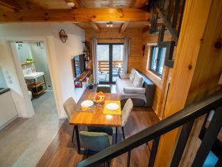 Wooden Villa Old Oak Plitvice Lakes - 1