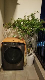 Suki House Danang - 2