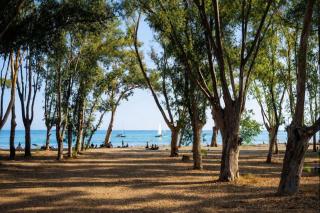 Living4Malaga Nereo Beach Studios - 6