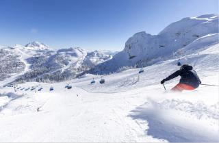 Alp Chalet Gundersheim - 5