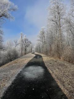 Alp Chalet Gundersheim - 2