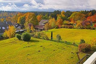 Kaminfeuer - Happy Harz - 4