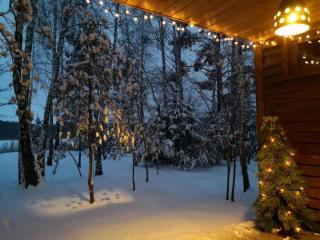 Beržų namelis - Birch cabin - 7