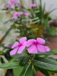 The Edge Retreat A Premium Property - 7