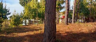 Everest Home Stay Temal Kalimati Tower - 9