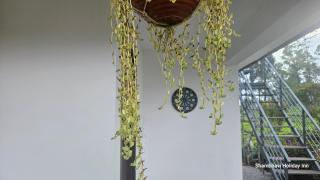 SHI's Vagamon Hill Retreat- Private villa on Hills - 4