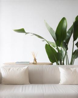 B View Madeira - Ocean & Bay View Apartment - 8