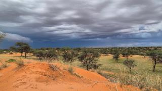 Jansen Kalahari Guest Farm - 8