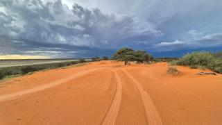 Jansen Kalahari Guest Farm - 9