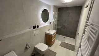 Riverside Promenada Apartment Nitra Castle View - 3