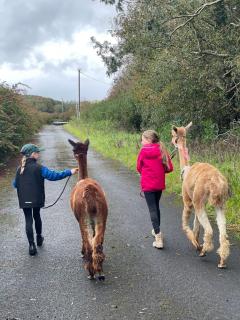 Fivestar Luxurious Home - Westport Quay - 6