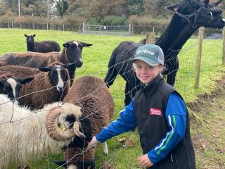 Fivestar Luxurious Home - Westport Quay - 5