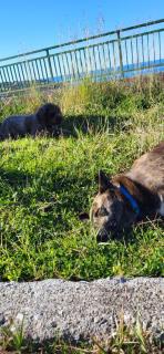 Villa Lorena sul mare calabria - 9