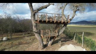 Drevenica pod vŕbami s farmou a zvieratami - 9