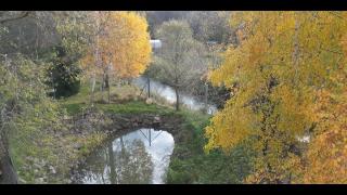 Drevenica pod vŕbami s farmou a zvieratami - 4