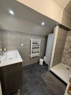 Appartement spacieux et élégant - Laon - 5