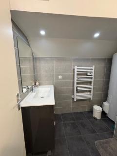 Appartement spacieux et élégant - Laon - 3