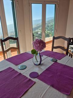 Apartamento Charmoso no Funchal, com grande Jardim e Vista Esplêndida - Funchal - 1