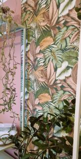 Stay in AUX, feel at home ! 2 room apartment central incl all you need for 4 person, extended check in and check out - 3