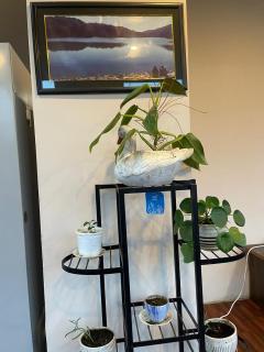 Hotel Himalayan Vista - 3