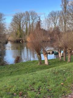 Le cottage de L’héron - 9