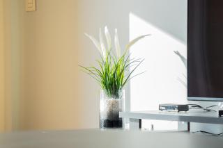 Anchored in Carmo by Homie - 6