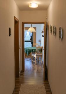 Ferienwohnung in Hohegeiß mit Terrasse und eigenem Eingang - 1