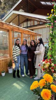 The Hilltop Kasol - 9