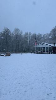 Chalet Achterbosch - 9